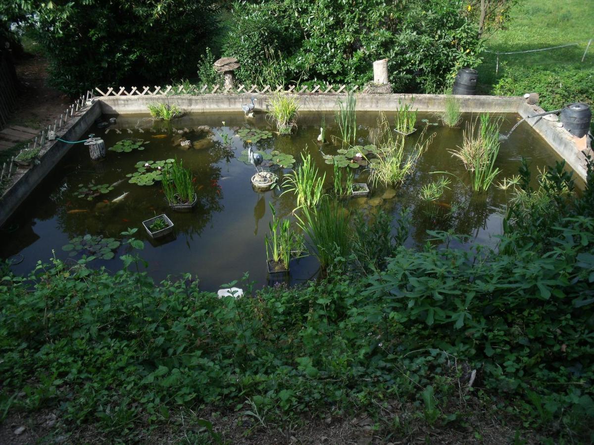 Domaine De La Provenc'Ane Villa Salernes Dış mekan fotoğraf