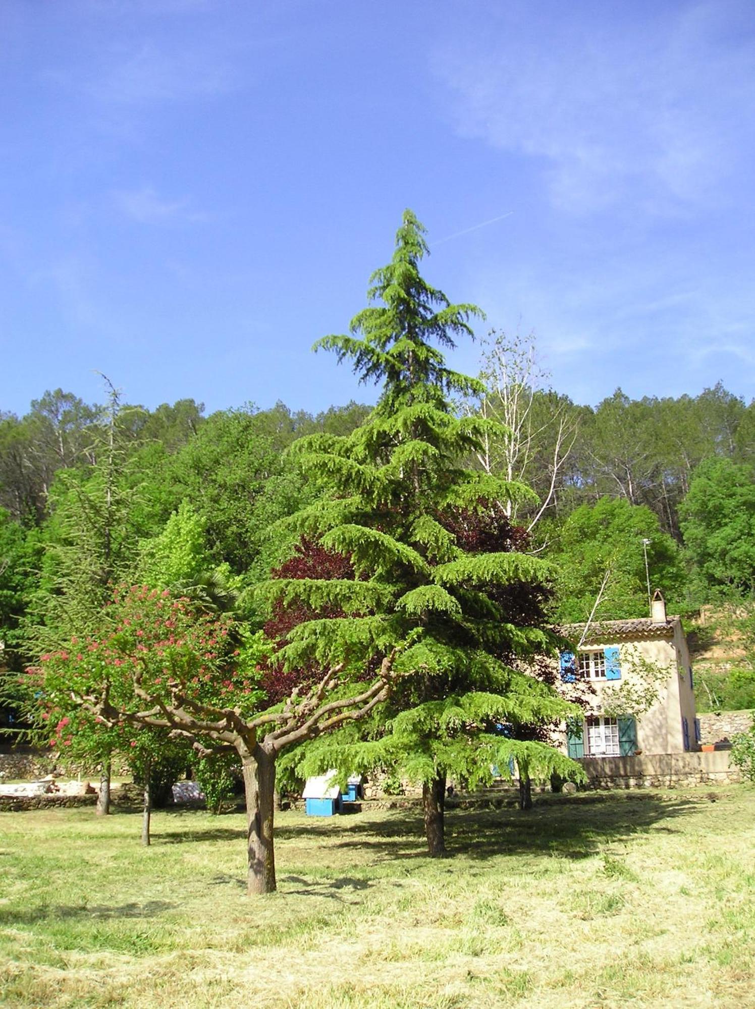 Domaine De La Provenc'Ane Villa Salernes Oda fotoğraf
